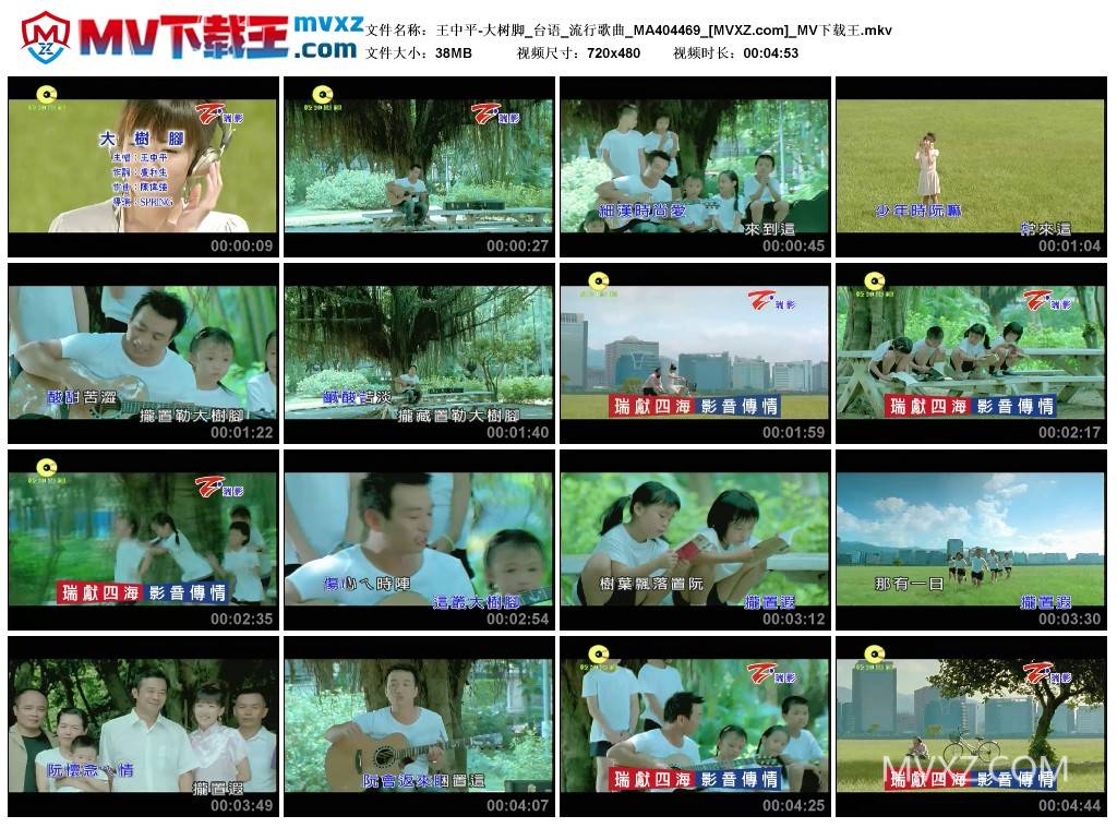 王中平-大树脚_台语_流行歌曲_MA404469